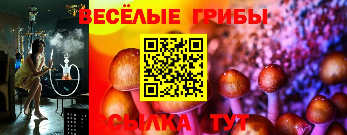 Галлюциногенные грибы Psilocybine cubensis Алапаевск