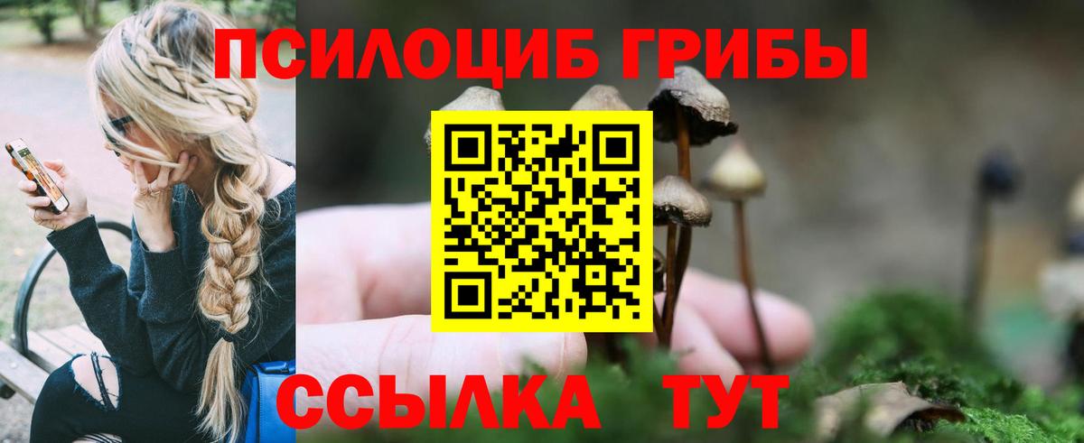 Алапаевск  Галлюциногенные грибы мицелий  Вход с VPN 